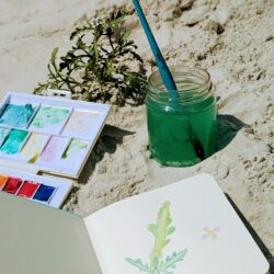 balade plantes sauvages